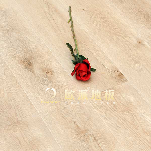 強化地板