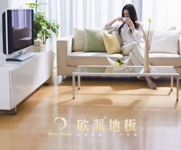 實(shí)木地板